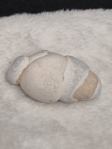 Modèle 1