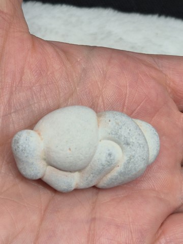 Modèle 1