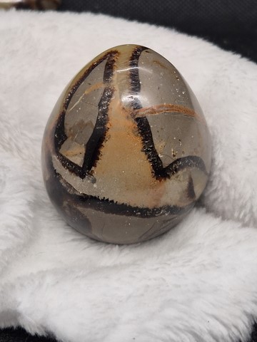 Oeuf de Septaria